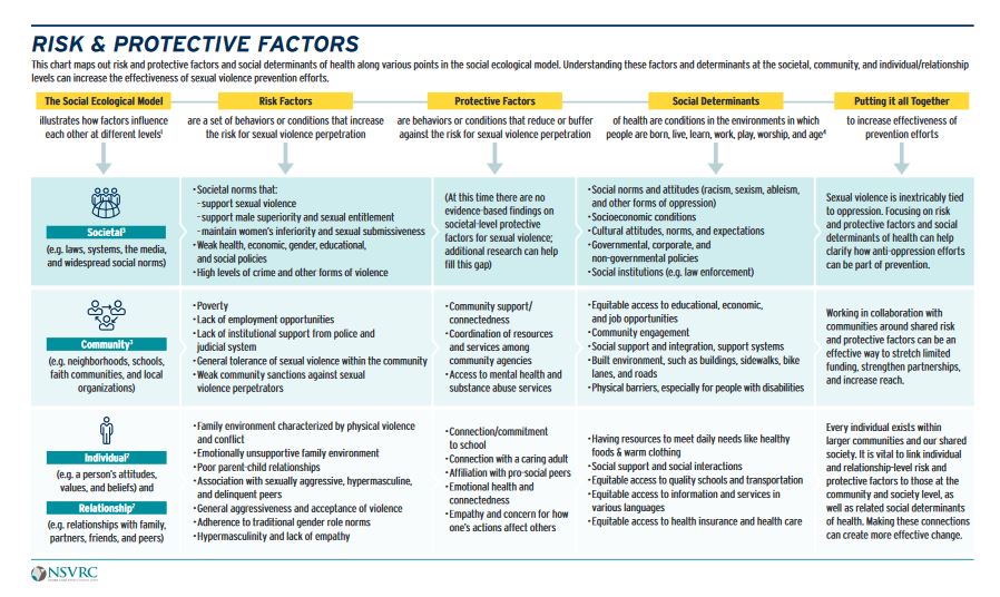 screenshot of risk and protective factor infographic