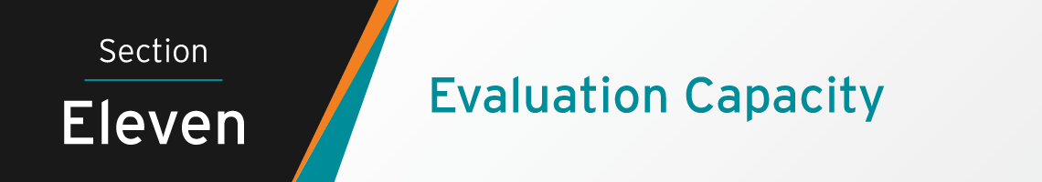 Section Eleven Banner: Evaluation Capacity