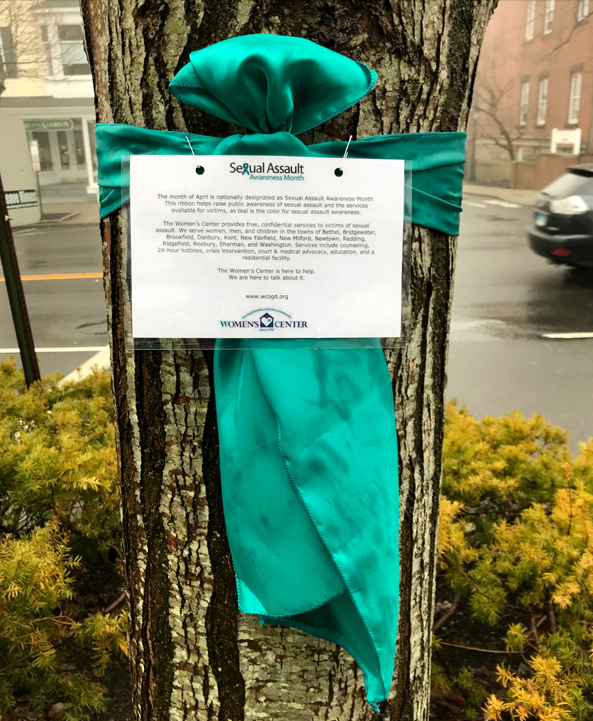 A teal ribbon is tied around a tree with a description of SAAM.