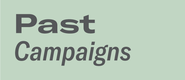 Past Campaigns