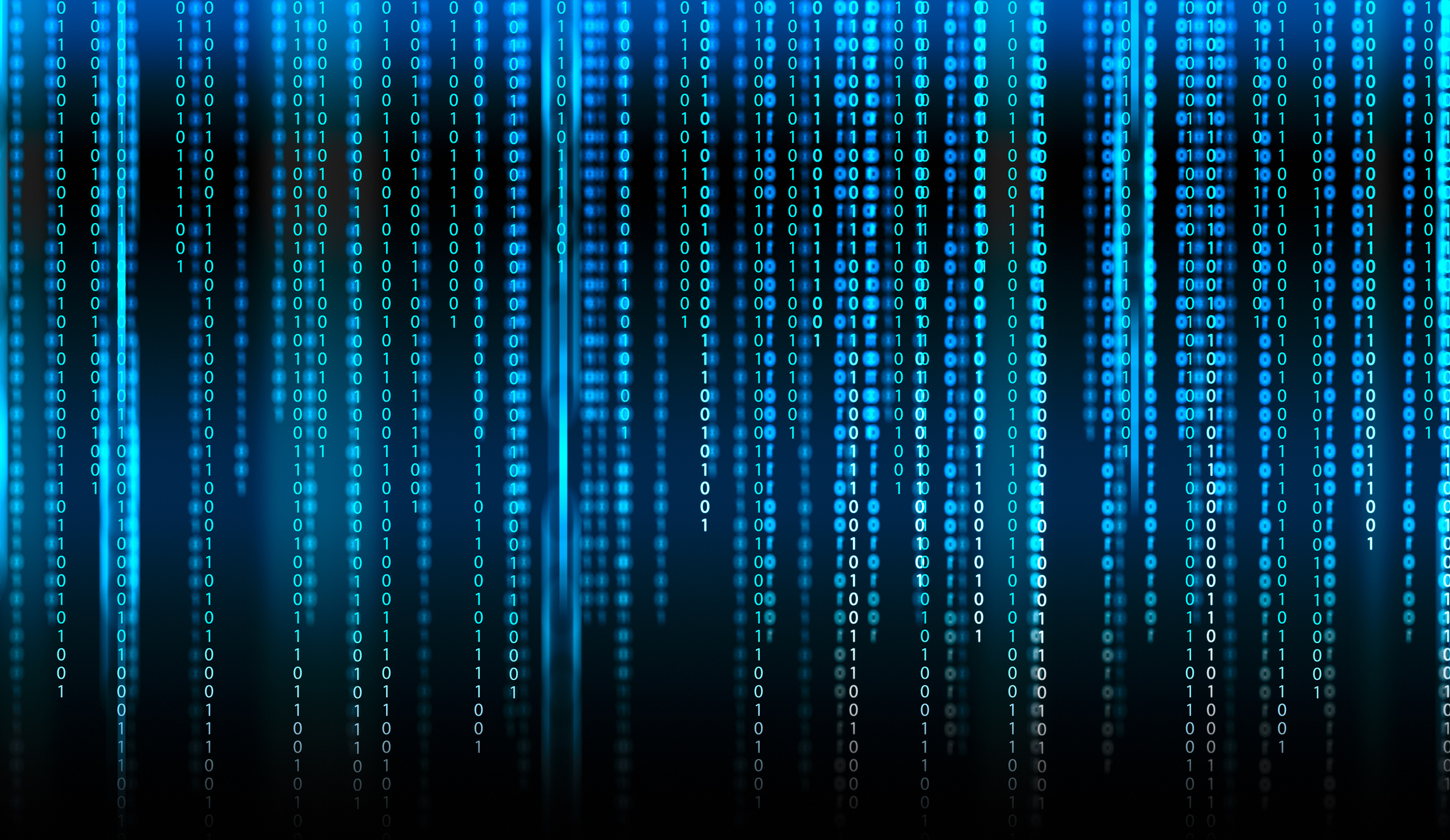 A line of binary code is listed in blue and black.