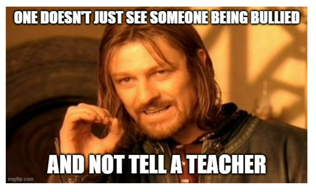 Image says "One doesn't just see one being bullied and not tell a teacher" with a lord of the rings actor in the center, mimicking the classic meme