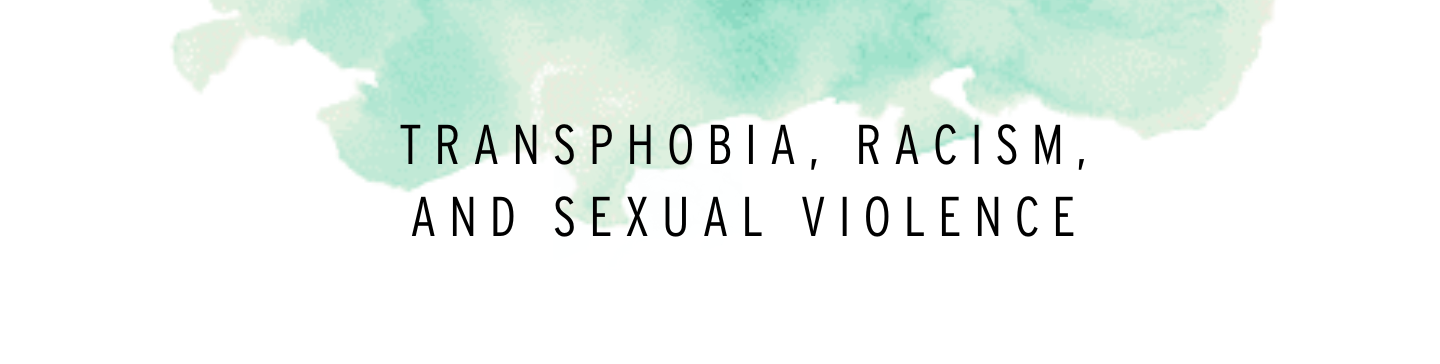 Making Connections Transphobia, Racism and Sexual Violence