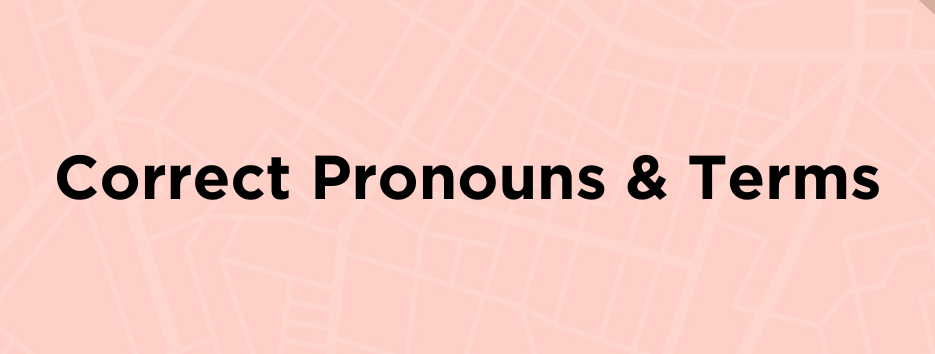 Correct Pronouns and Terms
