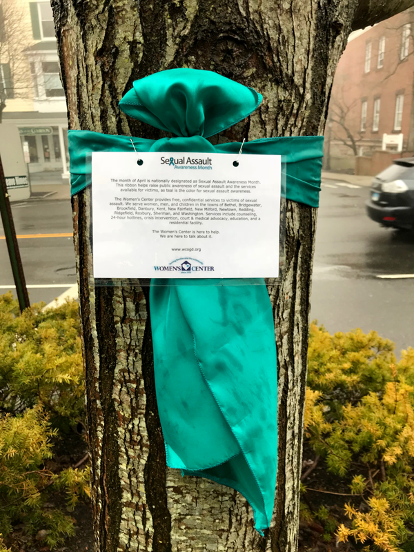 Teal Ribbon on a tree