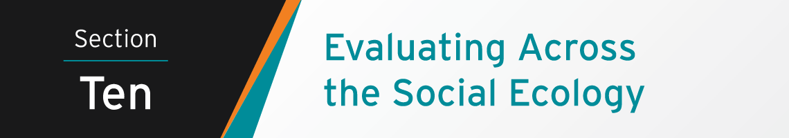 Section Ten Banner: Evaluating Across the Social Ecology