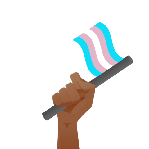 hand holding a transgender flag