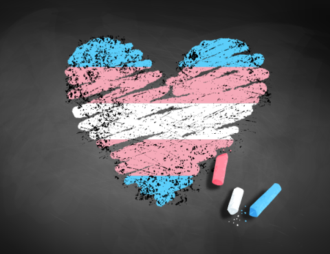 Heart in the colors of the transgender flag