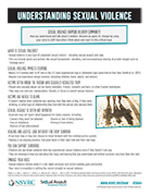 Understanding Sexual Violence Sheet