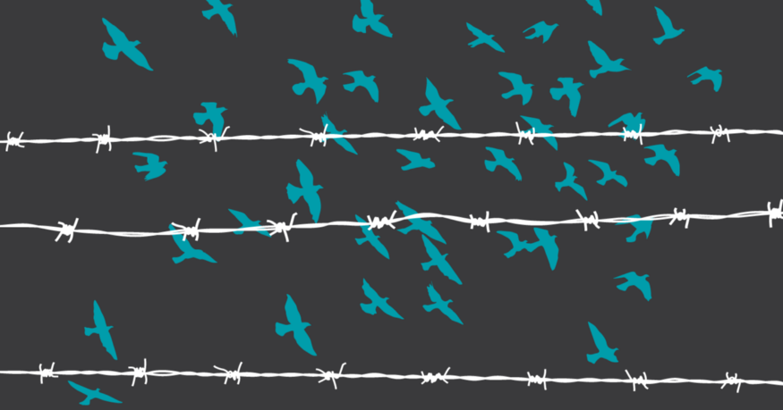 Incarcerated Survivors