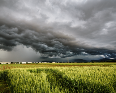 Sexual Violence in Disasters Guide