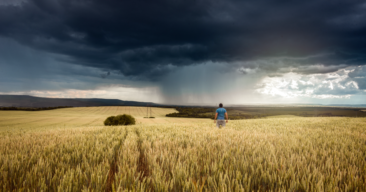 Sexual Violence in Disasters