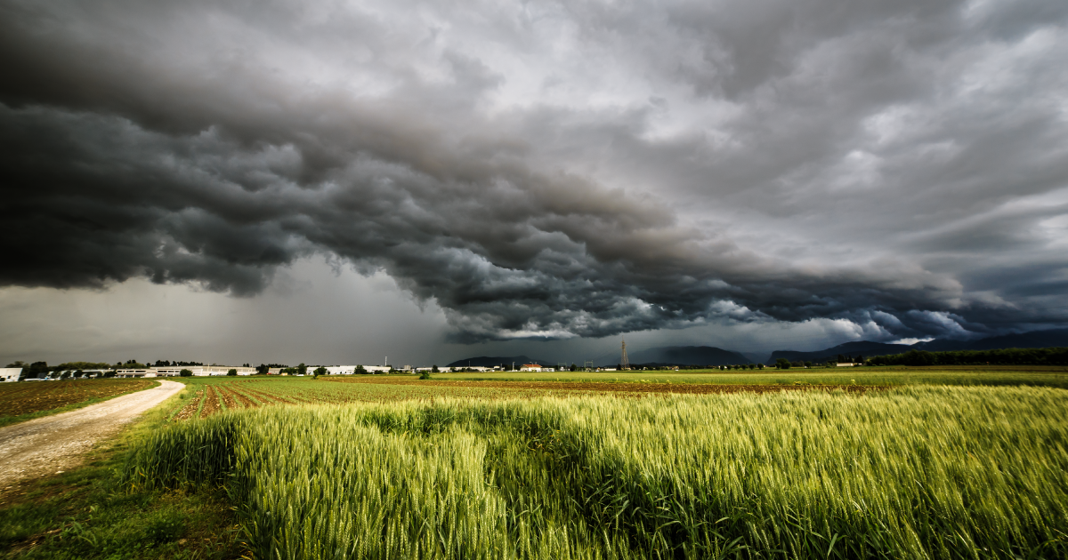 Sexual Violence in Disasters