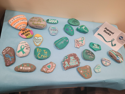 Display of painted rocks